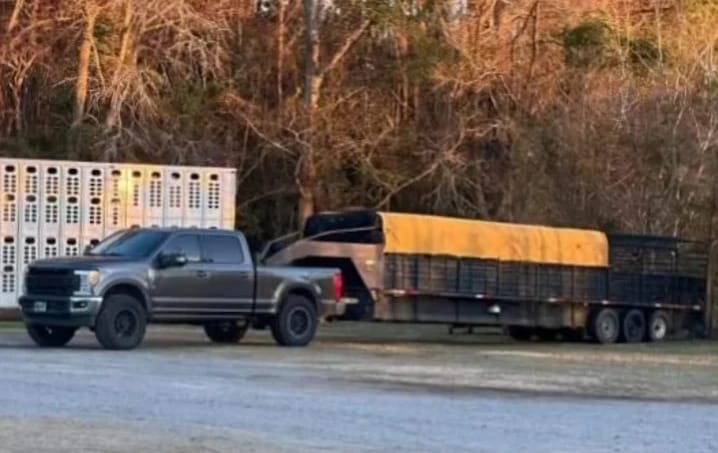 Farm Pickup